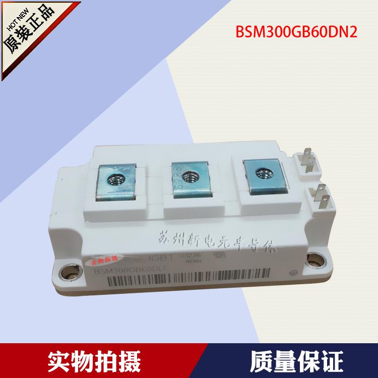 BSM300GB60DN2