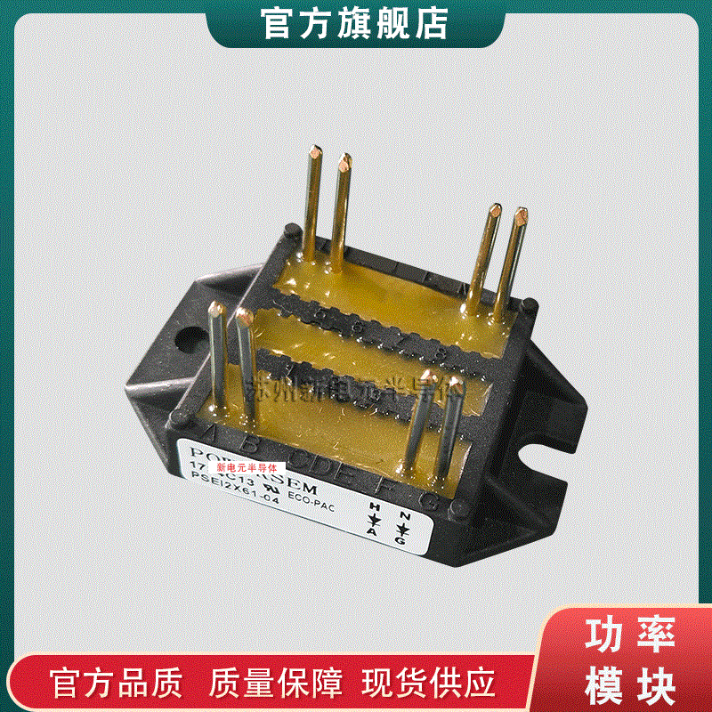 DSEI2X31-10B  DSEI2X31-12B  DSEI2X61-10B  DSEI2X61-12B